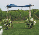 vineyard chuppah